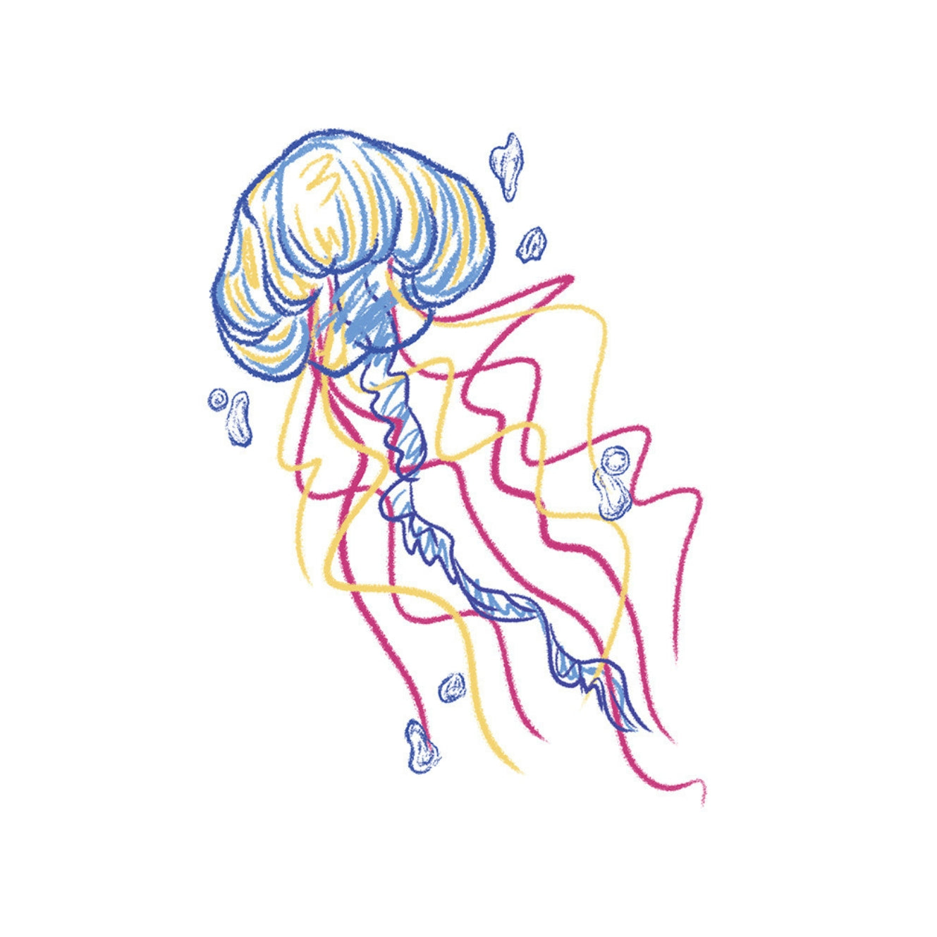 Colored Jelly Fish