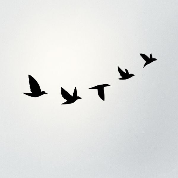 Migration