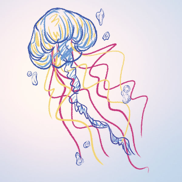 Colored Jelly Fish