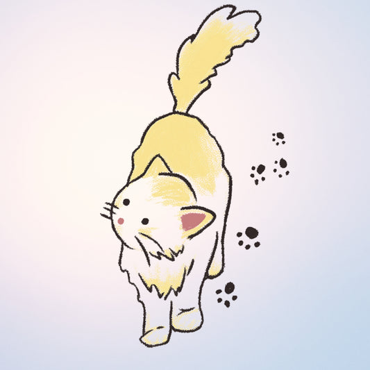 Sunshine Stroll