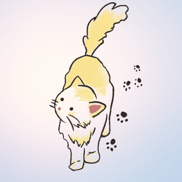 Sunshine Stroll