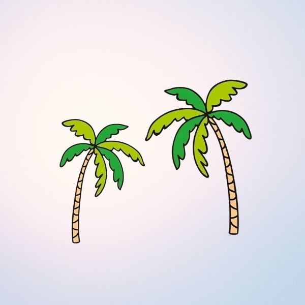Palm trees