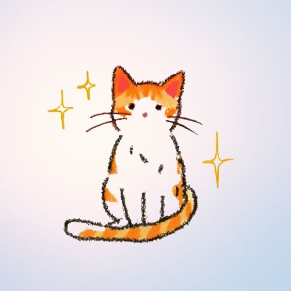 Ginger cat