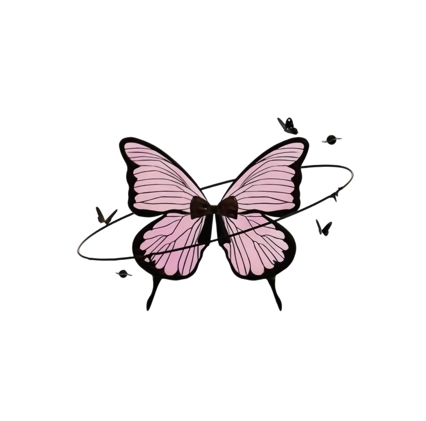 Black Pink butterfly