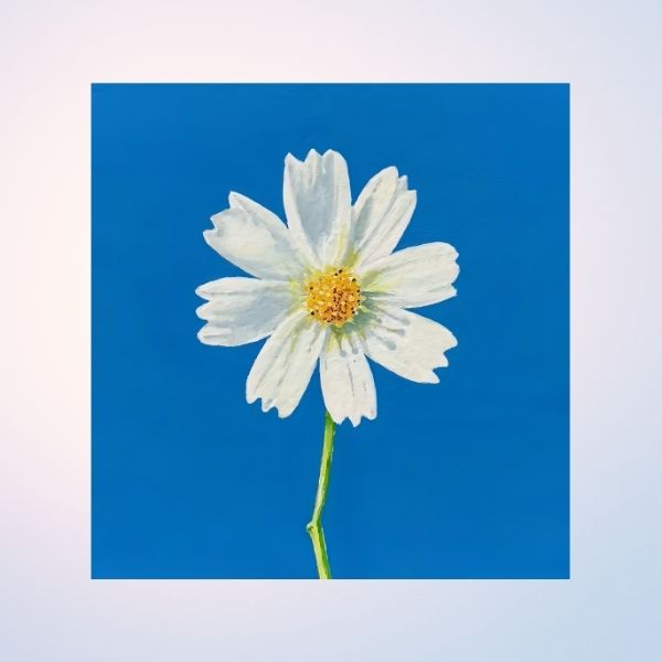 Summer Whisper
