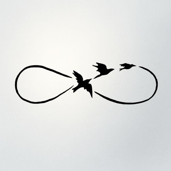 Infinity Fly