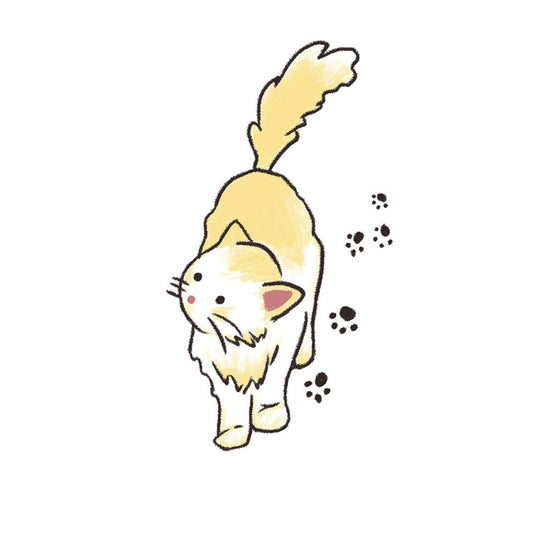 Sunshine Stroll