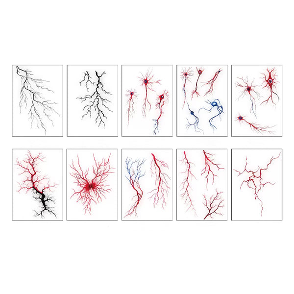 Veins bundle