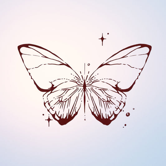 Midnight Moth